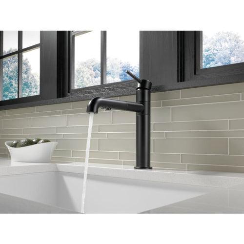 Trinsic Pull-Out Kitchen Faucet - Includes Lifetime Warranty - vhv1c7o9aaqxnqgypklw_x500.jpg