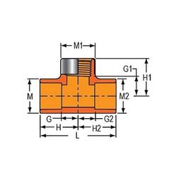 FlameGuard® Head Tee, 1-1/4 x 1 in, Socket x Brass FNPT, CPVC - vikbqyfdy83pdpgytbot_x500.jpg