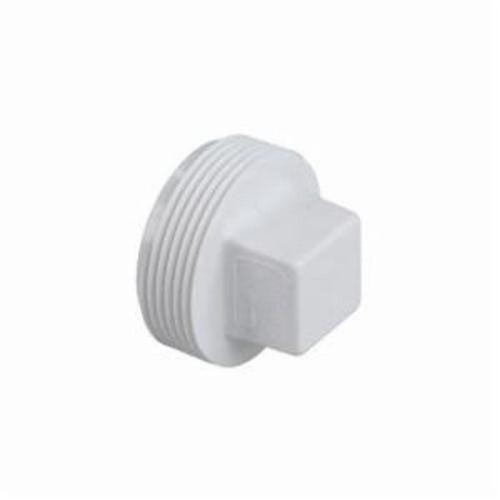 Plug, 2 in, MNPT, DWV, PVC - vsolpdcxpsvhbb1ujqbz_x500.jpg