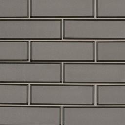 Champagne Bevel Subway Tile 2x6 - vxdwrctf2qh2bysmwmx5_800x500@2x.jpg