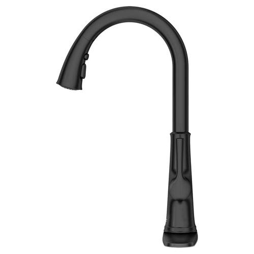 Renate 1.5 GPM Single Hole Pull Down Kitchen Faucet - Includes Escutcheon - w9wmxujymcsroaytaedz_x500.jpg