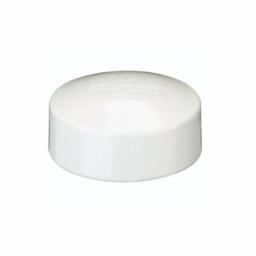 Cap, 6 in, Solvent Weld Hub, DWV, PVC - wcl7otgqpxo3znatcoet_x500.jpg