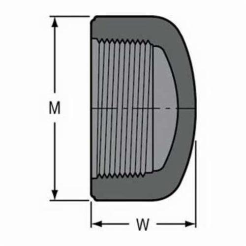 Cap, 1-1/4 in, FNPT, SCH 80/XH, PVC - wd1fbeiotygvxwrwi66e_x500.jpg