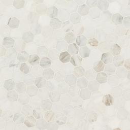 Arabescato Venato 2" Hexagon Honed - wkpw6xgafwwgd81d1mft_x500.jpg