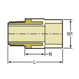 Male Adapter, 1/2 in, Socket x MNPT Brass, SCH 40/STD, CPVC - wlge46ovl3ds46to1vlp_x500.jpg