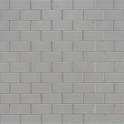 Oyster Gray Subway Tile 2x4 - wmqbfkkdixo1hcv2hi4j_x500.jpg