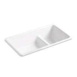 Iron/Tones® Double Bowl Kitchen Sink, Top/Under Mount, 33 x 18-3/4 in, 9 in Bowl Depth, Cast Iron, White - wrndociqwtgbynqismbn_800x500@2x.jpg