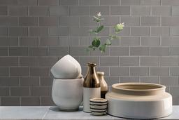 Metallic Gray Subway Tile 2x4 - wxwlfyytaome7is0wbfu_x500.jpg