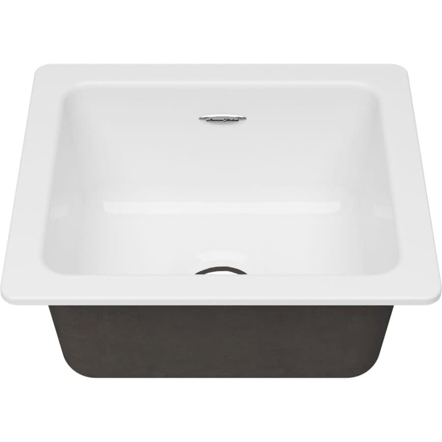 Delancey 18" Undermount Single Basin Cast Iron Kitchen Sink - wzjkox1tjw6mtzytawgu_800x500@2x.jpg