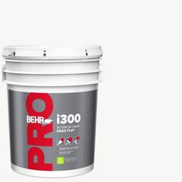 Behr Pro 5gal Antique White - i300 Flat - x2ffnmcifqnkw7fiaifl_800x500@2x.jpg