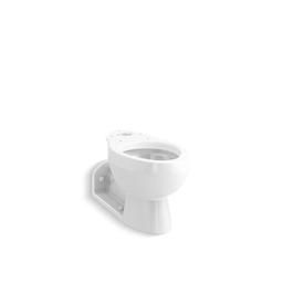 Barrington™ Toilet Bowl, Floor Mount, 4 in Rough, Elongated, White - xi9lcwdou88gewc1vepy_800x500@2x.jpg