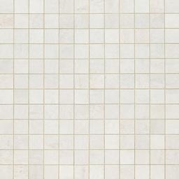 Oxide Blanc 2x2 Matte Mosaic - xjay4ajhvm7kkbx4gbtq_x500.jpg