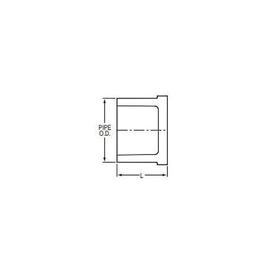 Plug, 2-1/2 in, Spigot, SCH 40/STD, PVC - xk2ealza7cnwgjwhusc8_x500.jpg