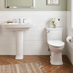 Townsend 1.28 GPF One-Piece Elongated Comfort Height Toilet with Left Hand Tank Lever and Seat Included - xkeb50dluirafoc2kwel_x500.jpg