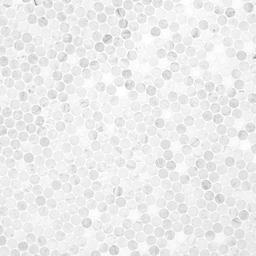 Carrara White Round Pattern Honed - xltxnbxgmgusa86ipncz_x500.jpg