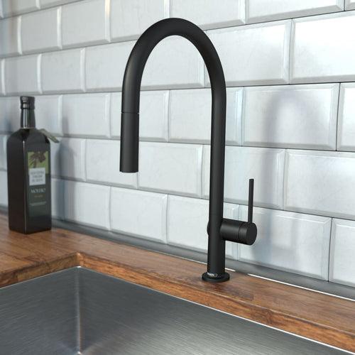 Talis N 1.75 GPM Single Hole Pull Down Kitchen Faucet - xogyf3aeokekll9udptt_x500.jpg