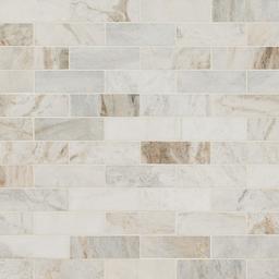 Arabescato Venato Tile 2x6 - xtqdykzq1vx6dswv8jcw_x500.jpg