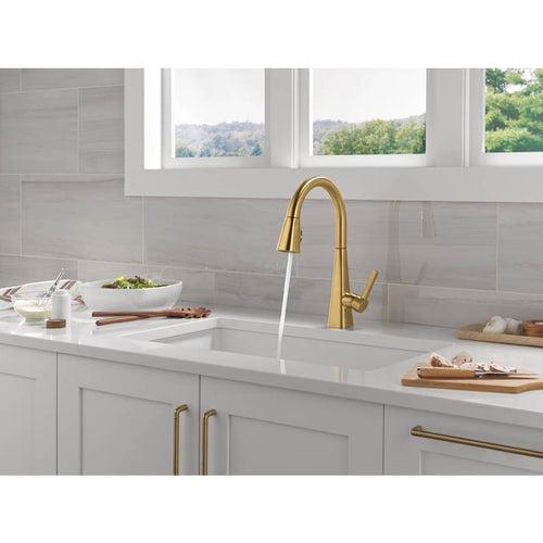 Lenta Single-Handle Pull-Down Kitchen Faucet with ShieldSpray - xuie0qbxfvelhrfkyfo1_x500.jpg