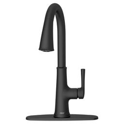 Renate 1.5 GPM Single Hole Pull Down Kitchen Faucet - Includes Escutcheon - xzuio09i5hfnwiprplhe_800x500@2x.jpg