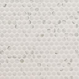 Carrara Matte Penny Round - y0c3kzikiv5vp24pchhz_800x500@2x.jpg