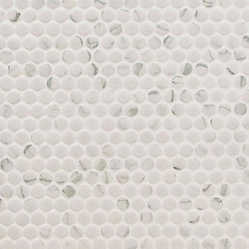 Carrara Matte Penny Round - y0c3kzikiv5vp24pchhz_x500.jpg