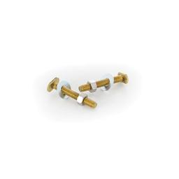 Closet Bolt Set, 5/16 x 2-1/4 in L Thread, Brass - y3iq2pltsspqvlrzptv7_800x500@2x.jpg