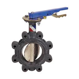 Lug Style Butterfly Valve, Lever Handle, 3 in, Flange, Ductile Iron - ycnjnjnjsp2ktaetzail_800x500@2x.jpg