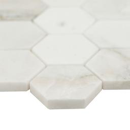 Arabescato Venato 2" Hexagon Honed - yczh2apprqbsb3n7mr7d_x500.jpg