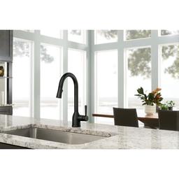 Adler 1.5 GPM Single Hole Pull Down Kitchen Faucet - yecqqoz4qm45vjfncczv_x500.jpg