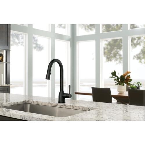 Adler 1.5 GPM Single Hole Pull Down Kitchen Faucet - yecqqoz4qm45vjfncczv_x500.jpg