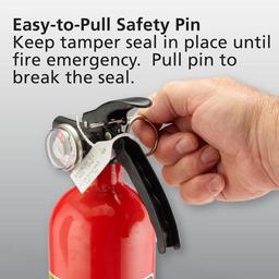 Basic Use Fire Extinguisher with Easy Mount Bracket & Strap, 1-A:10-B:C, Dry Chemical, One-Time Use, 2-Pack - yeu2s0qzpyh7u1um5k4n_x500.jpg