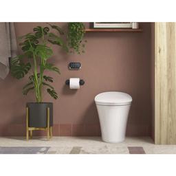 Tone Wall Mounted Pivoting Toilet Paper Holder - yjtuaolo12xpmv2zsdm4_x500.jpg