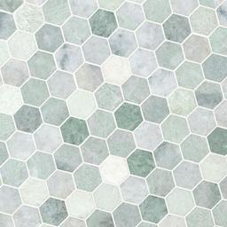 Icelandic Green 2" Hexagon Mosaic Tile - yv97xuszy9l1grwhc2on_x500.jpg