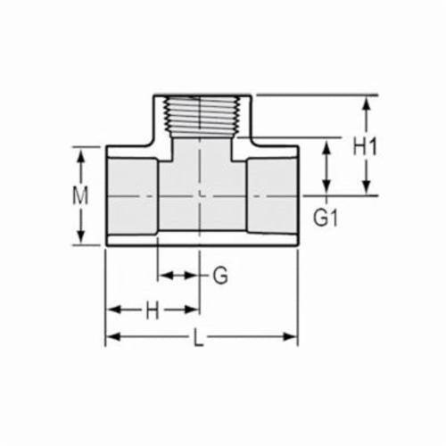 Tee, 1/2 in, Socket x FNPT, SCH 40/STD, PVC - yzpgqf7cvdjqeojcu99f_x500.jpg