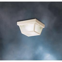 2 Light Outdoor Ceiling Fixture - z1y0tqz00myfm4abt4ha_x500.jpg