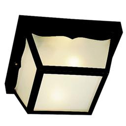 2 Light Outdoor Ceiling Fixture - z8bizmyqjtok0whndbfd_800x500@2x.jpg