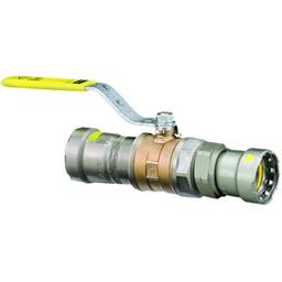 1-Piece Ball Valve, 2 in, Union Press, Full Port, Stainless Steel Ball, Bronze - zjnyf7w2hpkzngoczj7p_800x500@2x.jpg