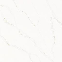 Calacatta Alabaster - zqo3y82gawmkca1ace7j_800x500@2x.jpg